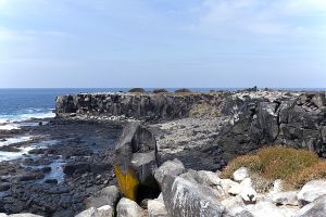 Punta Suarez, Espanola Island 440.jpg